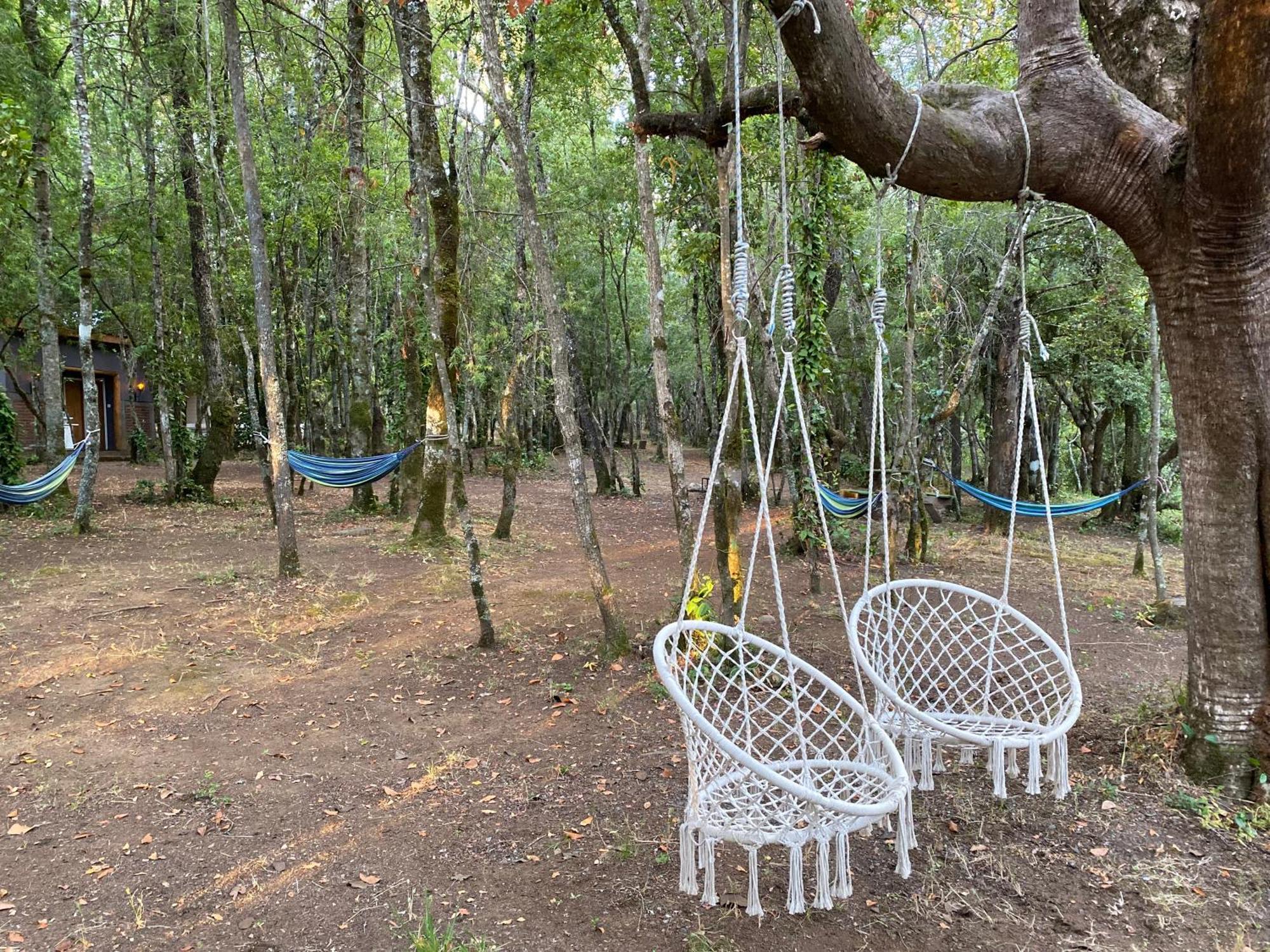 Alojamento Exclusiva Loncopangue
